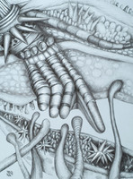 Robot Body Parts: Hand