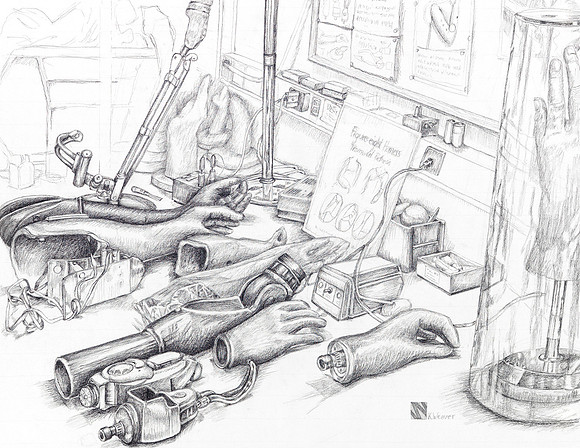 Upper Limb Development Lab 1