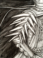 Robot Body Parts: Shoulder